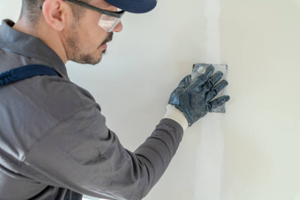 Mold Removal for HVAC Installations in Pennsboro, WV