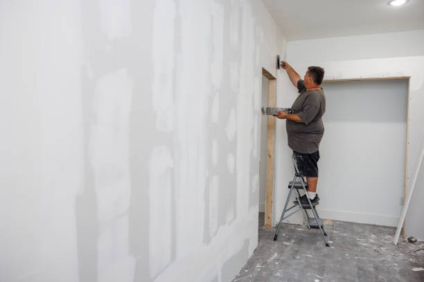 Best Mold Odor Removal Services  in Pennsboro, WV