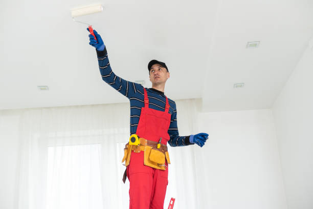 Best Black Mold Removal  in Pennsboro, WV